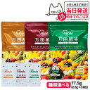 【選べる】万田酵素 スタンダード分包 77.5g (2.5g×31包) 発酵食品 酵素サプリ 野菜 果物 美容 ヘルシ— 発酵 ビタミン 妊婦 送料...