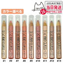 【カラー選べる】トゥークールフォースクール アートクラス プロタージュ ペンシル 1.1g 全9色 TOO COOL FOR SCHOOL アイメイク 涙袋 韓国コスメ