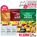 【2個セット 賞味期限2026/05】万田酵素 スタンダード分包 77.5g (2.5g×31包) 発酵食品 酵素サプリ 野菜 果物 美容 ヘルシ—...