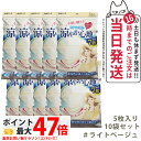 【10個セット】白元アース ビースタイル プリーツタイプ 涼やか心地 【ライトベージュ】5枚入 マスク 送料無料