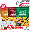 【2個セット 賞味期限2026/05】万田酵素 スタンダード分包 77.5g (2.5g×31包) 発酵食品 酵素サプリ 野菜 果物 美容 ヘルシ—...