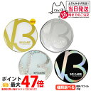 【ロットNoありの正規品】V3ファンデーション 本体/詰め替え用 15g エキサイティング シャイニング ブリリアント インテリジェント セットアップパウダー ...