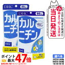 【賞味期限2028/03】ディーエイチシー DHC カルニチン 20日分 100粒 / 60日分 300粒 サプリメント ダイエット 健康食品 健康サプリ 健康...