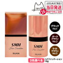 【カラー選べる 国内正規品】スーパーミリオンヘアー ヘアファンデーション 12g No.1 ブラック No.2 ダークブラウン No.3 ライトブラウン ルアン...