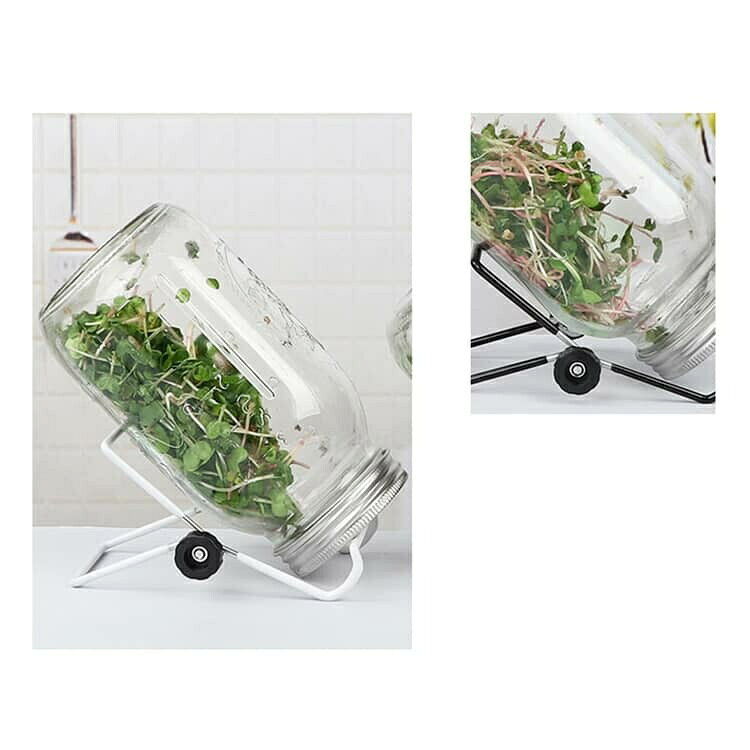 HomelyGoodsの【今だけおトク！当店限定セール★最大1000円クーポン】 スプラウト栽培キット 種子発芽ジャーキット 種子発芽成長セット メイソンジャー ガラス瓶 スタンド付き 保存瓶 キッチン 収納 ブロッコリースプラ 種子 フィルター蓋 整理｜アングル3