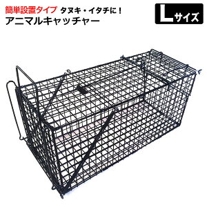 アニマルキャッチャー 動物 捕獲器 保護器 罠 トラップ オリ 害獣対策 Lサイズ シンセイ メーカー直送