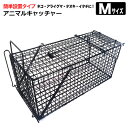 アニマルキャッチャー 動物 捕獲器 保護器 罠 トラップ オリ 害獣対策 Mサイズ シンセイ メーカー直送