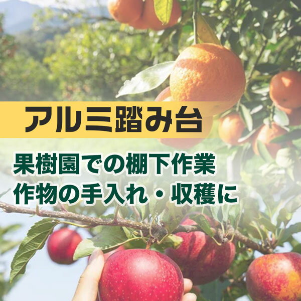 �̼��ѥ����Ƨ���� 2��52cm �磻�� �̼���ê����ȡ����Ϥ�������� ���󥻥��᡼����ľ��