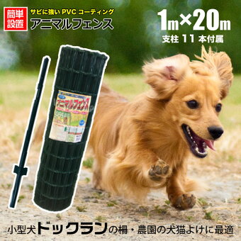 シンセイ 金網 アニマルフェンス 1m m 支柱 柵 11本付 ドッグラン 柵 ネット フェンス ネット 動物 金網 防獣 対策 ガーデニング 園芸 ホームオン Img Src Image Rakuten Co Jp Homeown Cabinet Bnr Deliverymaker Tit C Gif Width 100 法人限定発送 シンセイ 金網 アニマルフェンス 1m m 支柱 柵 11本付 ドッグラン 柵 ネット フェンス ネット 動物 金網 防獣 対策 ガーデニング 園芸 ホームオン Img Src Image Rakuten Co Jp Homeown Cabinet Bnr Deliverymaker Tit C Gif Width 100 法人限定発送