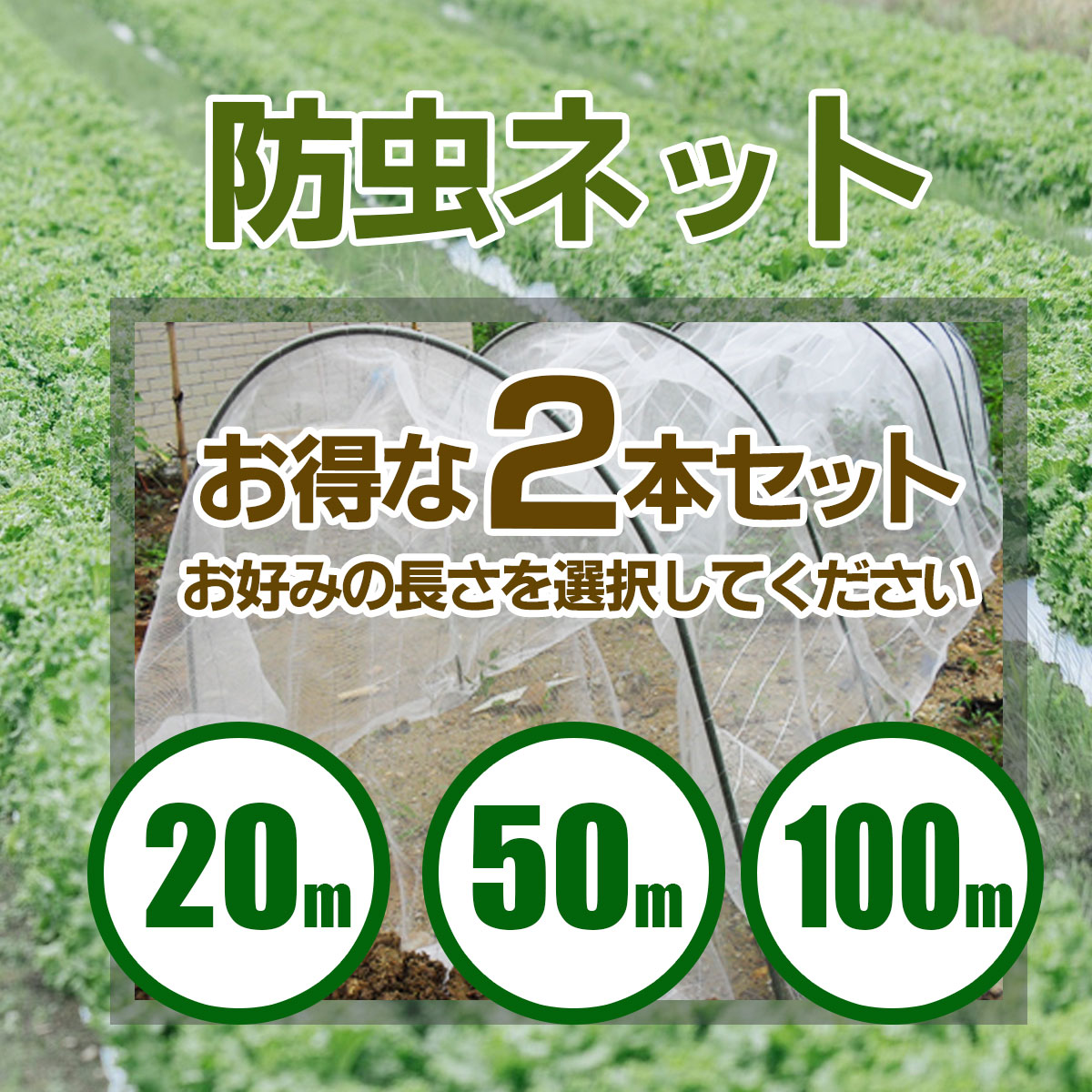 ����ͥå� 1mm�� ��1.35m Ĺ������ 20m/50m/100m 2�ܥ��å� ���Ȼ�� ��� �����ڱ� ��褱 ������ ���󥻥��᡼����ľ�� ˡ�Ͱ���������̵��