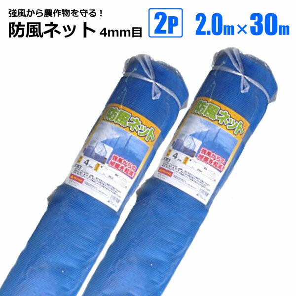 Wind Net - 防風ネット 4mm目 2m×30m 2本 ブルー 農業資材 園芸 家庭菜園 強風 風雪 対策 シンセイメーカー直送