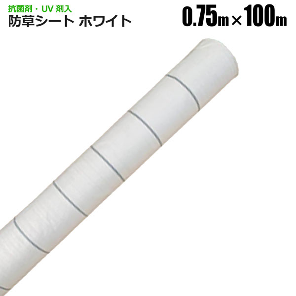 防草シート 0.75m×100m ホワイト 抗菌剤 UV剤入り 反射シート 草除けシート 雑草防止シート 草おさえ ..