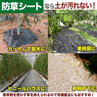 シンセイ シンセイ 防草シート 緑 抗菌 被覆資材 草おさえ メーカー直送 雑草防止シート 草除けシート 草おさえ 法人宛は基本送料無料 2m 100m 草よけシート シンセイ シンセイ 防草シート 緑 抗菌 被覆資材 草おさえ メーカー直送 雑草防止シート 草除けシート 草おさえ 法人宛は基本送料無料 2m 100m 草よけシート