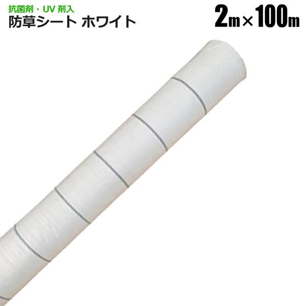 商品説明 ★太陽光の反射率のよいホワイト★ 防草シート 2m×100m　抗菌剤UV剤入りホワイト 【ポイント】 防草シートホワイトは、太陽光の反射率が高くなり、作物に沢山の光を当てることができる耐久力の高い防草シート 遮熱性があるため、シート周りの温度を下げる効果もあるため、農業用ハウス内の環境制御に適しています。 また、反射シートとして果樹などにも効果があります。 カットして使えるので、果樹の周りだけピンポイントで施工といったこともできます。 除草剤を使いませんので土や周りの水源を汚しません。 ◆使用方法 1.雑草を取り除きます。 2.石や木の根など引っかかりやすいものを取り除きます。 3.シートをたるみが無い様に敷きます。 　シート同士の重ね巾は10cm程度とってください。 4.0.5~1m間隔で別売りのピンなどを使って固定してください。 ※カットした場合にほつれが気になるようでしたら熱処理してください。 【商品名】 防草シートホワイト　2×100m 【商品番号】 s-bsnet20100-wh 【商品仕様】 幅・長さ：2m×100m 坪量：135g/m2 耐用年数：1~2年（ハウス内での使用向け）（使用環境により異なります。保障値ではなく目安です。） 材質：ポリエチレン 【注意事項】 ※とがったものの上に敷かないでください。 ※施工後は必ずピンや重しなどで飛ばないようにしてください。 ※日本語取扱説明書は付属しておりません。 ※輸入品につき本体に僅かなキズ・スレ・さび汚れなどがつく場合があります。 ※入荷時期により予告無くデザイン・色・サイズなど、細かな仕様が変更される場合がございます。 ※色合いの感じ方には個人差があり、撮影状況・PC環境により色合いが異なる場合がございます。 ※細かい点が気になる方、神経質な方はご注文お控えください。 ご注文前に必ずご確認下さい ⇒ お買い物ガイド 送 料 法人宛：基本送料 無料 個人宛：基本送料 4,000円 別途追加送料　北海道：＋2,000円、沖縄本島：＋10,000円、離島：＋20,000円 同梱不可 【メーカー直送配送のご注意】 ●メーカー指定の配送業者により商品をお届けします。 ●法人宛送料無料配送の適用には、メーカー直送品配送の規定により、店舗・事務所があり法人であることが確認できる看板・表札が必要です。 法人名・屋号等を頂きましても、配達場所が一般住宅・マンションの一室を事務所としてお使いの場合は個人宅扱いとなります。 ●道路幅員が狭い等、配送トラックが配送先までの通行がドライバーにより困難と判断された場合は、配送業者の営業所止め、またはチャーター便(要別途送料)配送とさせて頂く場合がございますこと、予めご了承下さい。 ※ご不明な点は必ず事前にお問合せ下さい。