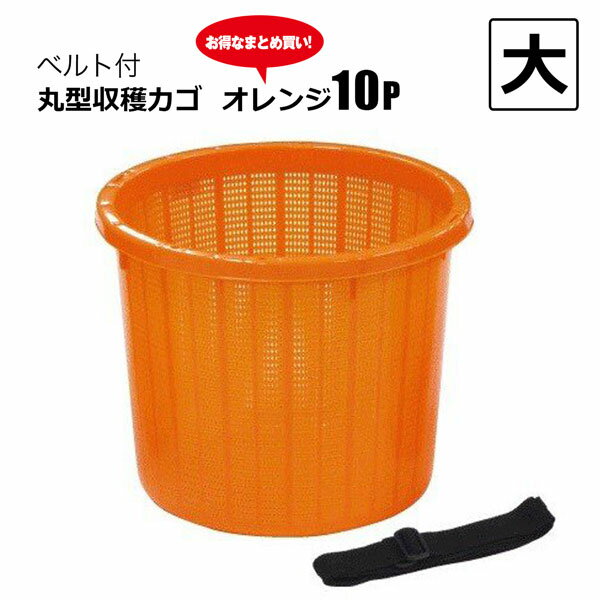 樂天商城 - 丸型収穫かご ベルト付 大 365Φ×H275 10個セット 約20L 果物野菜の収穫に最適 オレンジ 安全興業 メーカー直送品 法人限定 基本送料無料