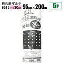 国産 有孔黒マルチ9515 5本セット 穴径 30mm 0.02mm 幅95cm×長さ200m クロマルチ 農用シート 農業資材 シンセイ直送 法人宛基本送料無料