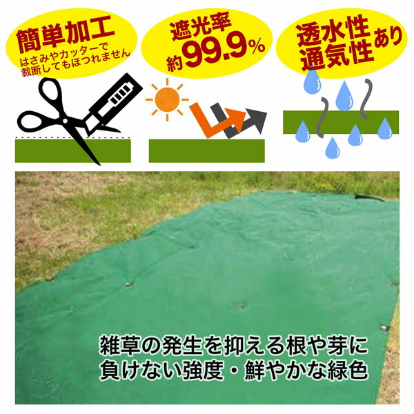 ���𥷡��� ���ȥ��󥰥ޥå� 1m��20m 1�� Ķ����3mm ���꡼�� ������ ����ǯ����15ǯ ���ϻ���褱 �����к� �����ɻ�