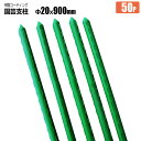 園芸支柱 イボ付き Φ20mm×900mm 50本 樹脂コーティング イボ支柱 完全防水 高品質 農業用支柱 シンセイ メーカー直送