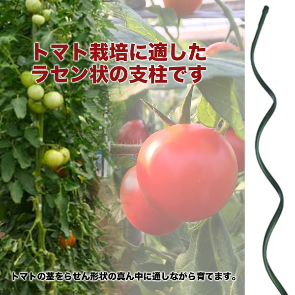 楽天市場 シンセイ トマト支柱 F11 長さ 10mm 50本 らせん支柱 トマト きゅうり栽培 家庭菜園 農業資材 ホームオン