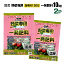 野菜専用一発肥料 10kg×2個セット 国産 12-12-10 効果約120日間 環境にやさしい 園芸 家庭菜園 シンセイメーカー直送
