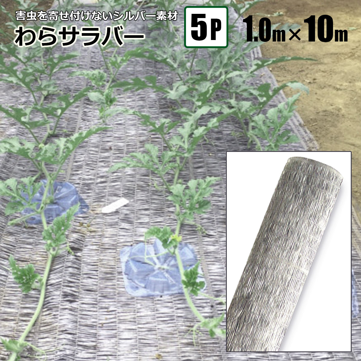 樂天商城 - わらサラバー 1m×10m 5本組 シルバー 防虫効果 敷きわらの代わりに 法人宛基本送料無料