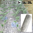 わらサラバー 1m×20m 2本組 シルバー 防虫効果 敷きわらの代わりに シンセイ メーカー直送 基本送料無料