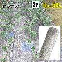 わらサラバー 1m×50m 2本組 シルバー 防虫効果 敷きわらの代わりに シンセイ メーカー直送 基本送料無料