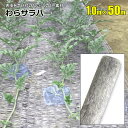 わらサラバー 1m×50m 1本 シルバー 防虫効果 敷きわらの代わりに シンセイ メーカー直送 基本送料無料