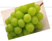 �̼����� ���㥤��ޥ����å� �֤ɤ� �� ���� 100���� (��31.5cm����21.5cm��