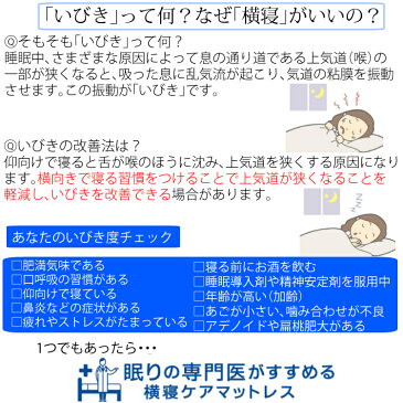 マットレス スリープクリニック 横寝ケアマットレス セミダブル いびき 西川 眠りの専門医 体圧分散 （メーカー直送）（ラッピング不可）