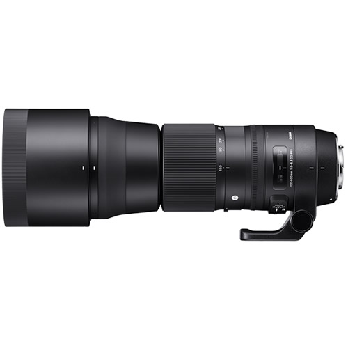 （レビューでレンズキャッププレゼント）シグマ 150-600mm F5-6.3 DG OS HSM（C） キヤノンマウント用