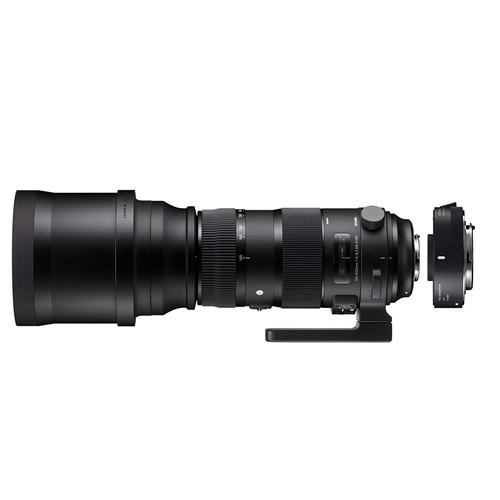 （レビューでレンズキャッププレゼント）シグマ 150-600mm F5-6.3 DG OS HSM（S） テレコンバーターキット キヤノンマウント用