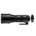 （レビューでレンズキャッププレゼント）シグマ 150-600mm F5-6.3 DG OS HSM（S） テレコンバーターキット ニコンマウント用