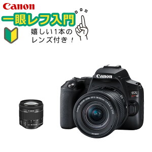 【スマホには表現できない描写力！】 キヤノン(Canon) EOS Kiss X10 デジタル一眼レフカメラ イオスキス ブラック レンズキット EOS KISS X10BK-1855IS STM LK (3452C002) 初心者向け 入門機