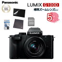 (SD クロス等5点セット) DC-G100DK-K パナソニック カメラ ルミックス Panasonic ミラーレス一眼カメラ LUMIX ルミックス デジタル一眼カメラ 標準ズームレンズキット 小型 Vlog撮影 4K動画 簡単操作 5軸ハイブリット手ブレ補正（ラッピング不可）