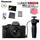 (SDENX5_Zbg) DC-G100DV-K pi\jbN J ~bNX Panasonic ~[XJ LUMIX ~[XJ WY[YLbg{gC|bhObv ^ VlogBe 4K ȒP 5nCubgu␳ibsOsj