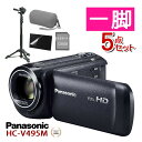 (ϤƤȤعԻå)ӥ塼ŵͭ Panasonic ѥʥ˥å ǥϥӥӥǥ HC-V495M 90ܥ  ѥ 5 ֥ʥåԥԲġ