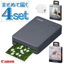 (用紙20枚&カード用紙20枚&アダプタセット) キヤノン QX20(GY) グレー セルフィー (6752C001) \レビュー特典有/ プレゼント 収納 レ...