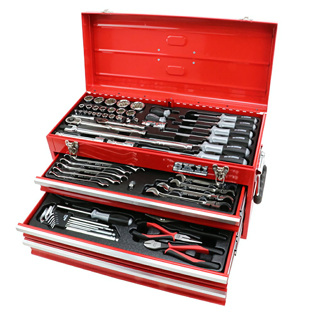 【工具セット 117点セット】 藤原産業 SK11 SST-19117RE 整備工具セット SST-19117 ツールセット （代引き不可）（ラッピング不可）