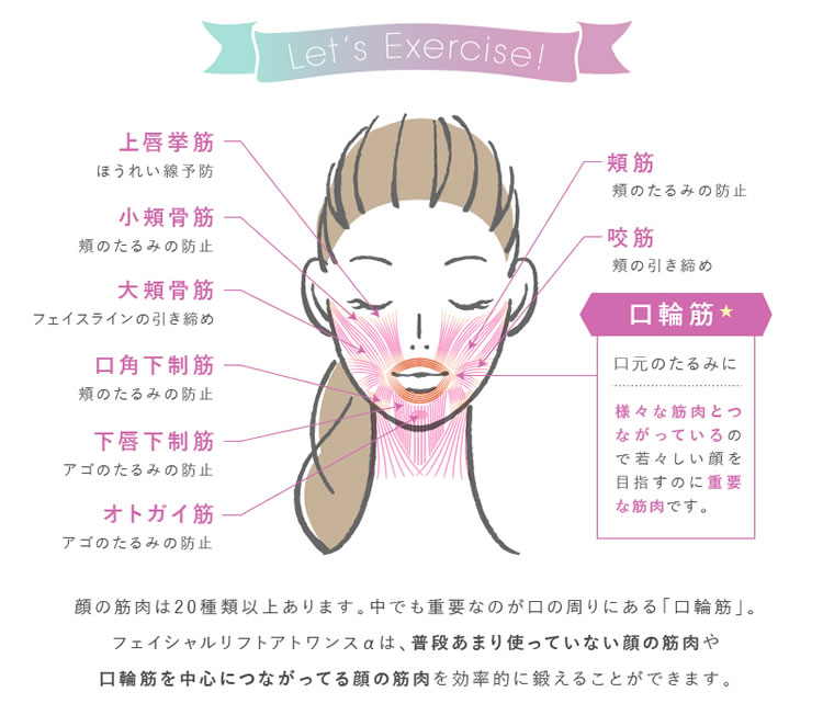 美容クリーム付き フェイシャルローラー付属 ローラー 美顔ローラー 美顔器 フェイシャルリフト 2way オムニ 小顔効果 アトワンスa ビギナーズセット 表情筋 リフトアップ 小顔効果 たるみ ほうれい線 二重あご トレーニング ローラー 2way アンチエイジング 美容