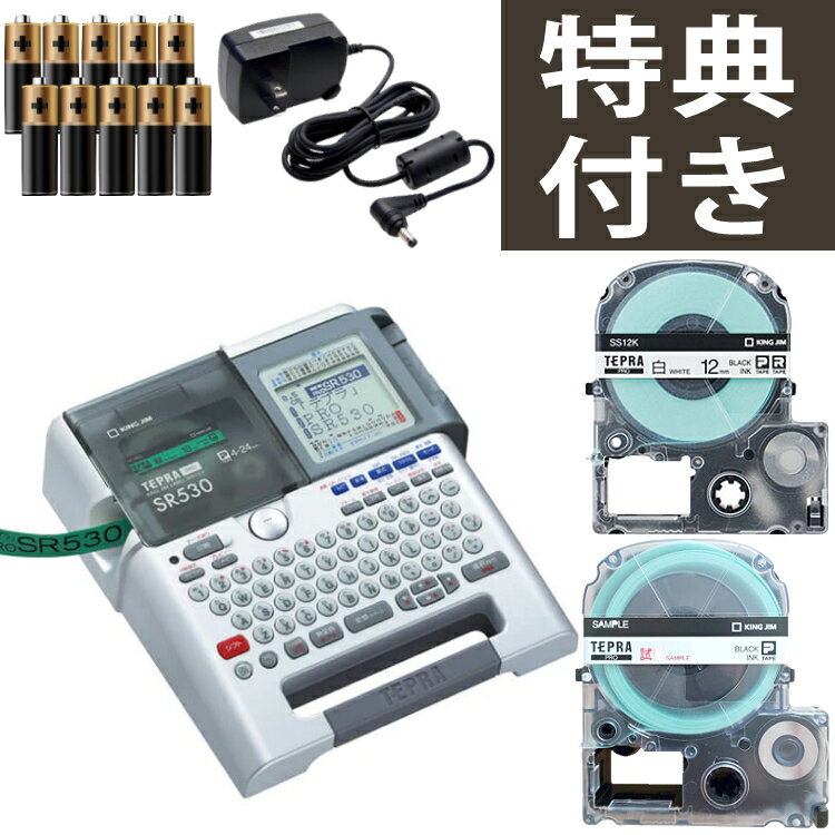 【スターターセット】テープ・電池付き キングジム ラベルライター テプラPRO SR530 ラベルプリンター ラベル インデックス キーボード テプラ プロ KING JIM