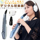 (マウスピース&ACアダプター付き) ローランド AE-01...