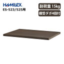 ハヤミ工産 オーディオラック Esta シリーズ用 追加用棚板 ESP-01 ES-523/525対応 HAMILeX ESシリーズ エスタシリーズ ハミレックス(ラッピング不可)
