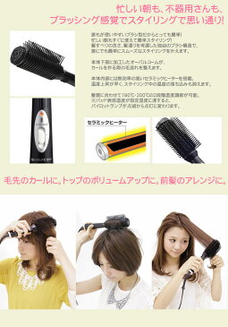 クレイツ【ヘアアイロン】ホットブローブラシベリー CIHB-R01 CIHBR01