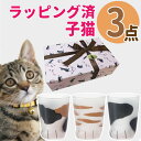 (猫柄ラッピング済) ここねこ 子猫 グラス 3点 ギフトセット アデリア coconeco 猫グラス こねこミケ トラ ブチ 230ml 猫グッズ ネコ ねこ 猫足 肉球 可愛い かわいい ご褒美 タンブラー コップ ギフト プレゼント 食洗機不可 (熨斗対応不可)