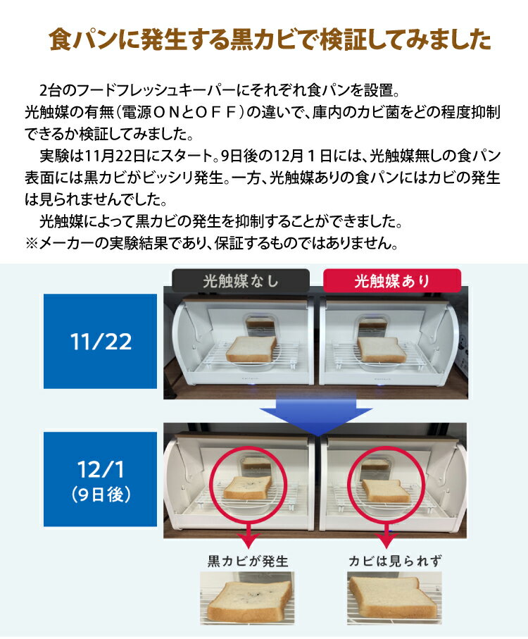 【訳あり品：新品箱破れ/本体は未使用品】保鮮ボックス 光触媒 除菌 脱臭 フードフレッシュキーパー カルテック 常温 保管 パン 果物 野菜 フィルター交換不要 KL-K01 ウイルス対策（ラッピング不可）