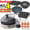 \楽天1位/【純正プレート4種&特典付き 】イワタニ ビストロの達人プラス カセットコンロ \レビューお米プレゼント/ 深型プレート付 シルバー カセットフー ...