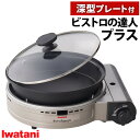 訳あり品(箱潰れ・未使用)イワタニ カセットコンロ ビストロの達人プラス 深型プレート付 シルバー カセットフー CB-BST-PLS ガスコンロ(ラッピング不可)