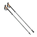 レキ トレッキングポール ブラックシリーズ FX カーボン ブラック 2本1組 カーボン製 折りたたみ式 LEKI 110-130cm 1300445 (ラッピ...