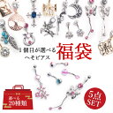 【選べるピアス福袋】2025年 第2弾 へそピアス ボディピアス 14G バナナバーベル ボディピアス ヘソピアス へそピ ヘソピ ボディーピアス ボディピ サ...